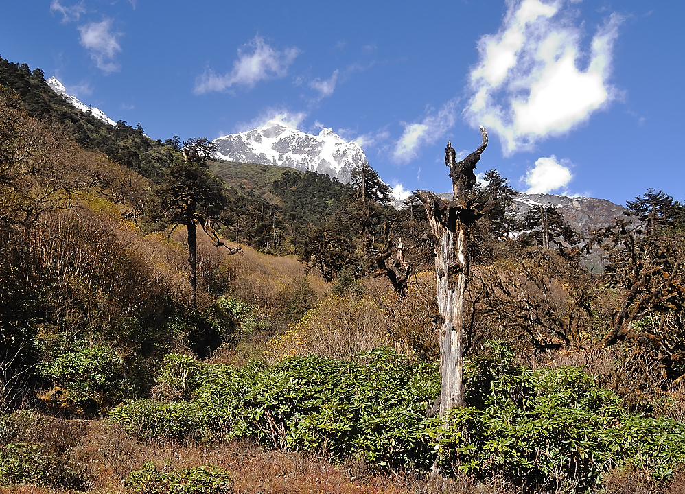 DSCN2161.jpg - Yangri Karka - Dobato (j18)
