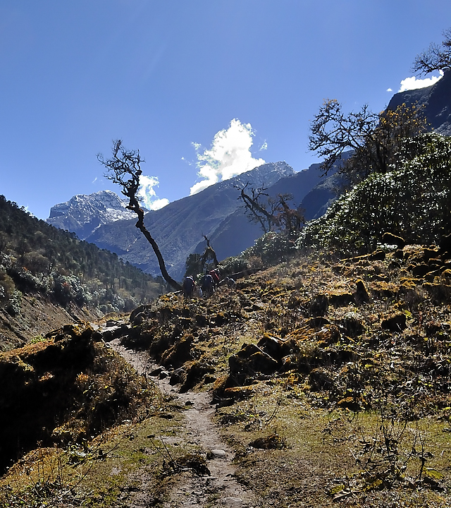 DSCN2163.jpg - Yangri Karka - Dobato (j18)