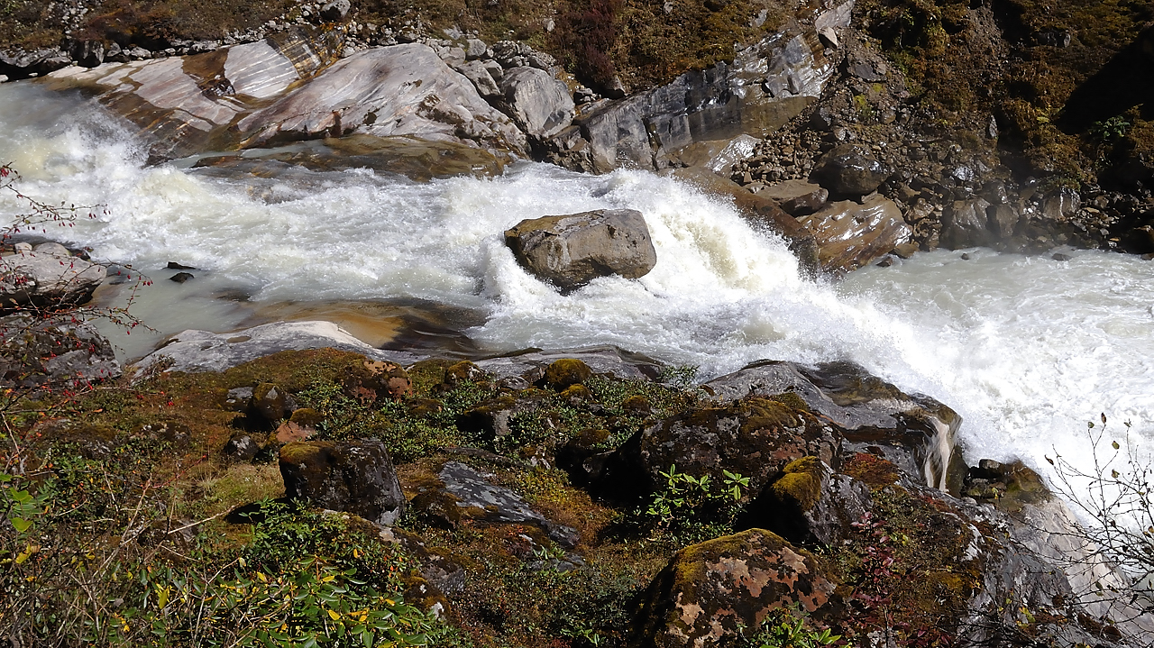 DSCN2164.jpg - Yangri Karka - Dobato (j18)