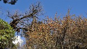 DSCN2156