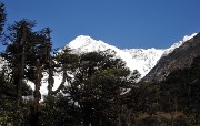 DSCN2160