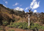 DSCN2161