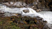 DSCN2164
