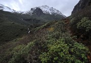 DSCN2180