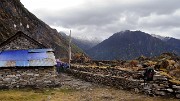 DSCN2181