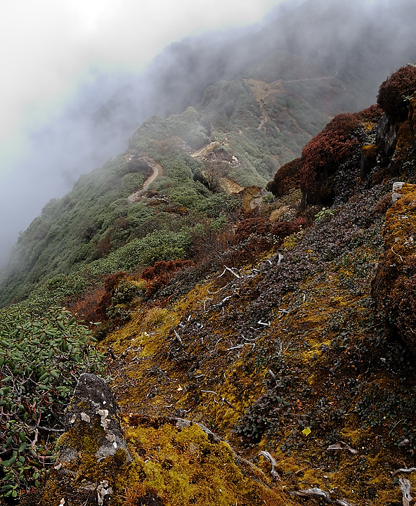 DSCN2203.jpg - Dobato - Tashigong (j19)
