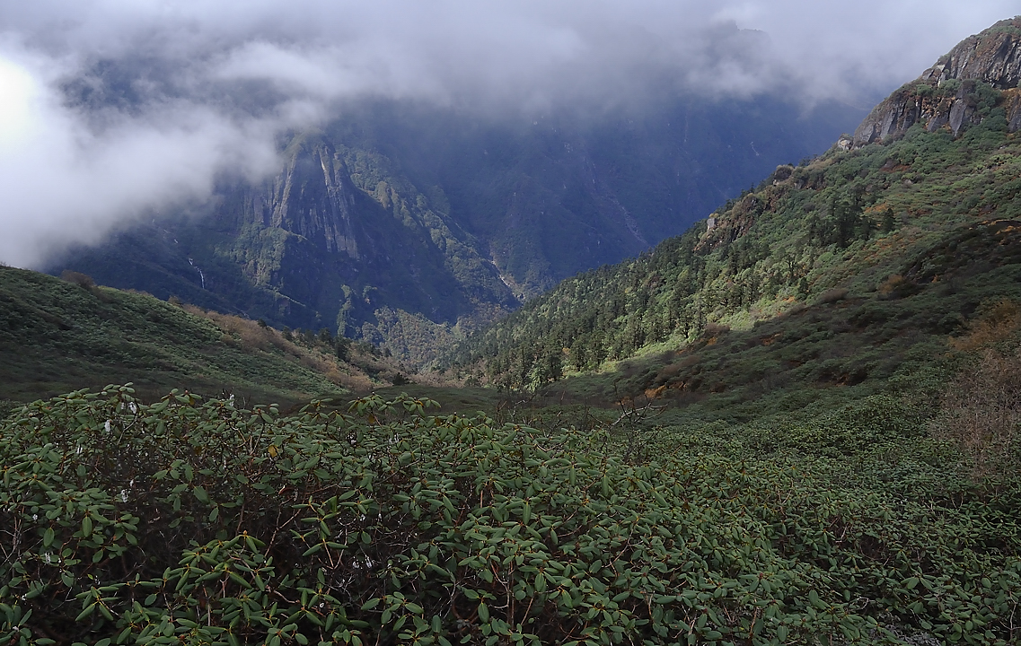 DSCN2204.jpg - Dobato - Tashigong (j19)