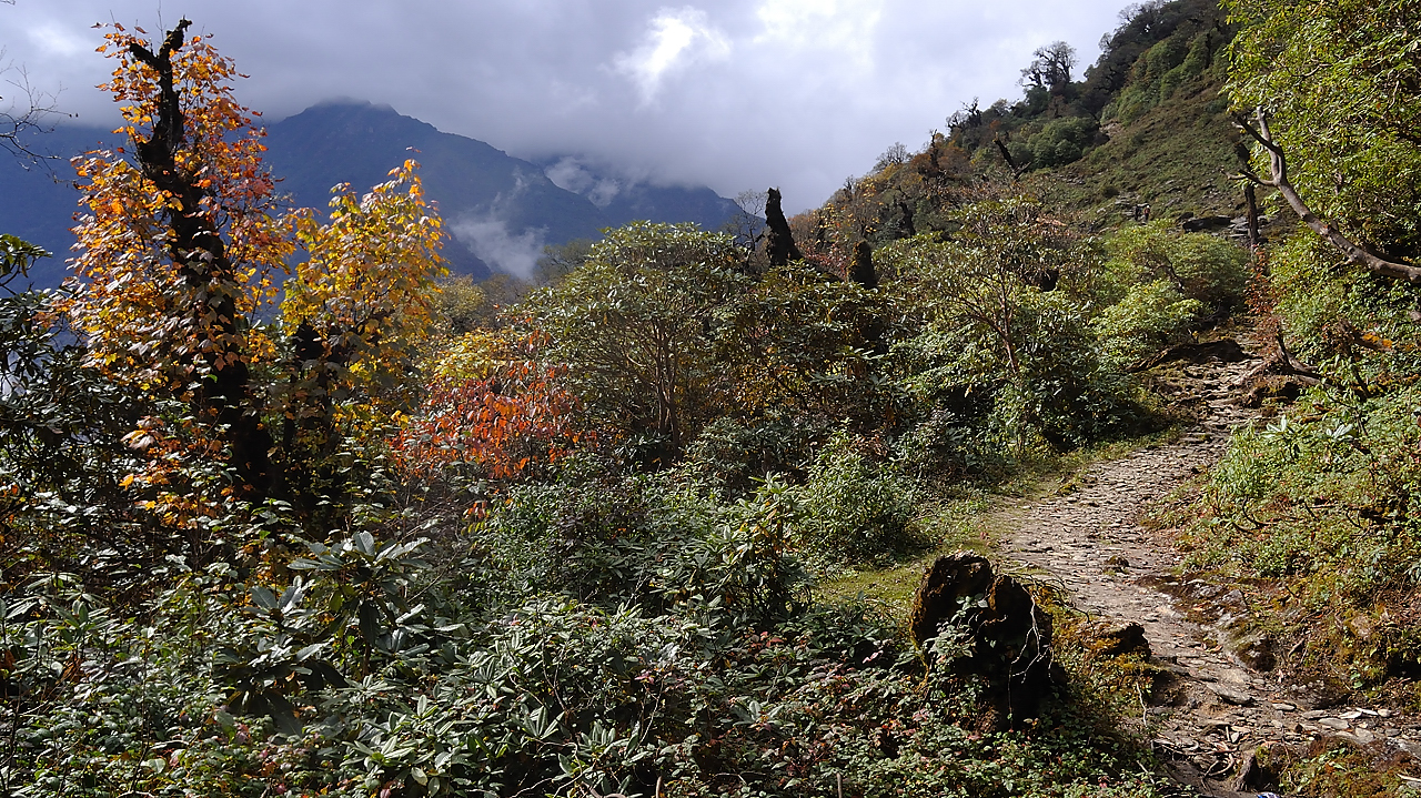 DSCN2212.jpg - Dobato - Tashigong (j19)