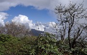 DSCN2206