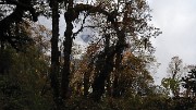 DSCN2214