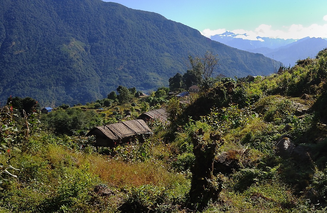 DSCN2252.jpg - Tashigong - Num (j20)