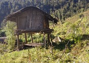 DSCN2229