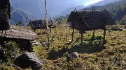 DSCN2230