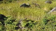 DSCN2233