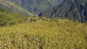 DSCN2240