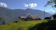 DSCN2243