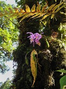 DSCN2246