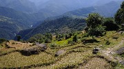 DSCN2264
