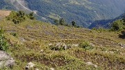 DSCN2265