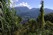 DSCN2269