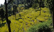 DSCN2275
