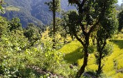 DSCN2276