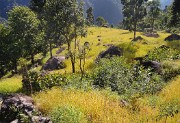 DSCN2281