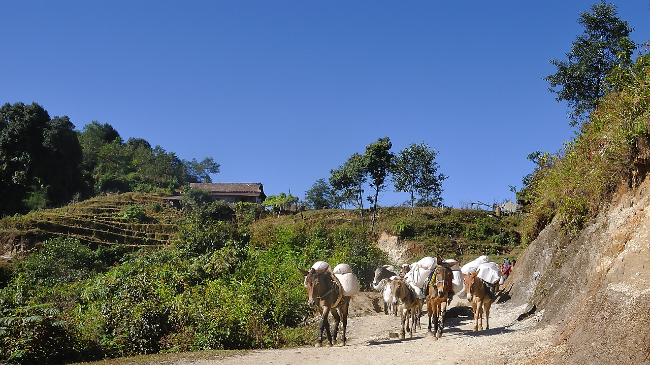 DSCN2303.jpg - Num - Kadbari (j21)