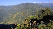 DSCN2287