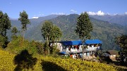 DSCN2291