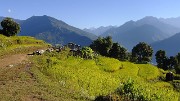 DSCN2293