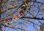 BosseMomie-20110409-29-DSCN2919