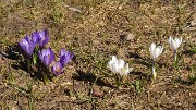 BosseMomie-20110409-32-DSCN2925