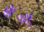 BosseMomie-20110409-33-DSCN2927