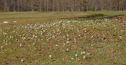 BosseMomie-20110409-34-DSCN2929