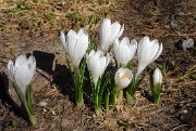 BosseMomie-20110409-35-DSCN2931