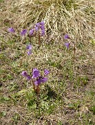 MeanMartin-20110508-29-DSCN3039