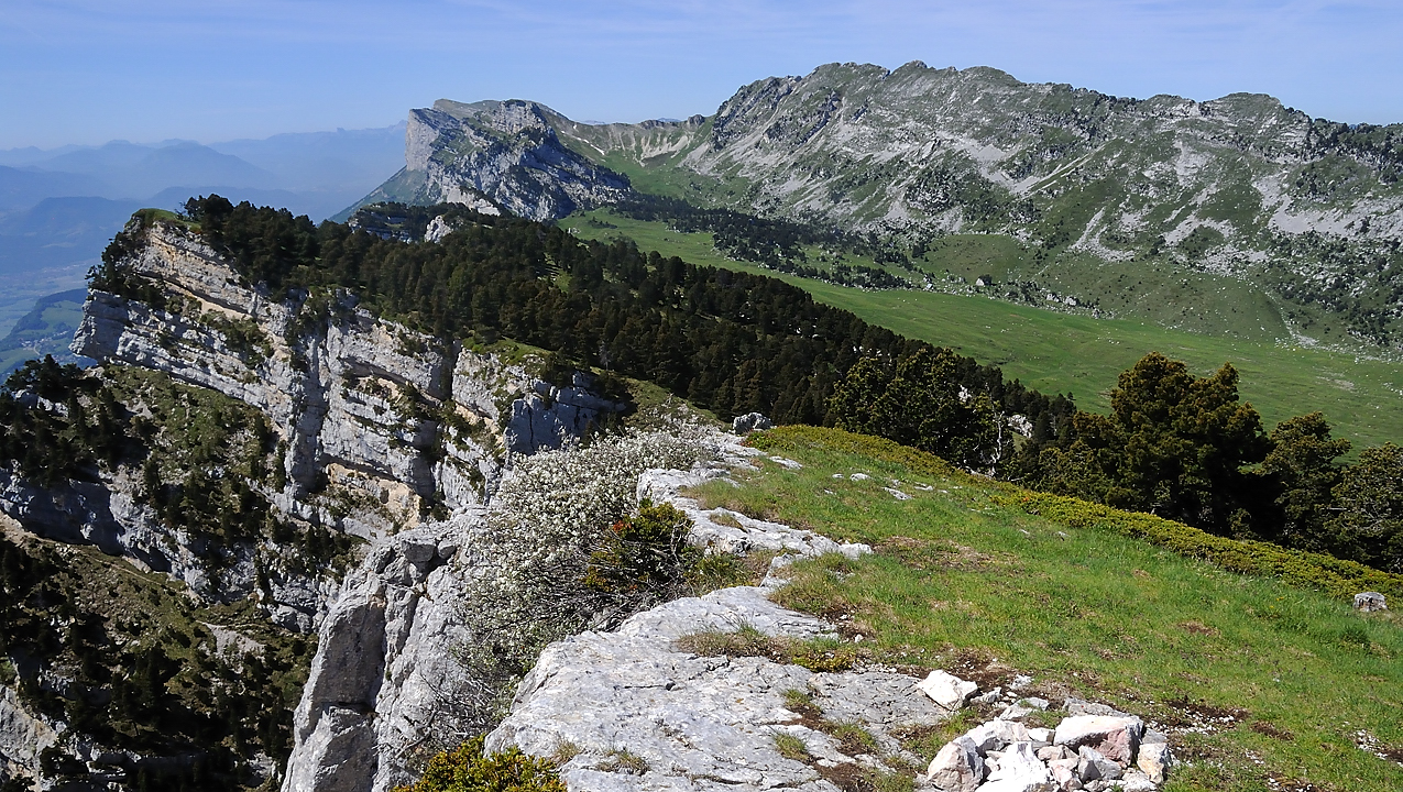ArchesChartruese-20110529-34-DSCN3143.jpg - La crete entre l'Aulp du Seuil et la Dent de Crolles