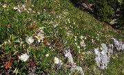 ArchesChartruese-20110529-18-DSCN3121