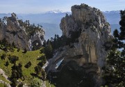 ArchesChartruese-20110529-30-DSCN3138