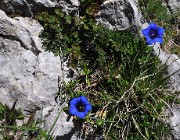 ArchesChartruese-20110529-31-DSCN3140