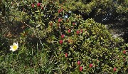ArchesChartruese-20110529-33-DSCN3142