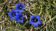 ArchesChartruese-20110529-35-DSCN3144