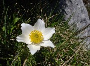 ArchesChartruese-20110529-41-DSCN3150