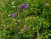ArchesChartruese-20110529-42-DSCN3151