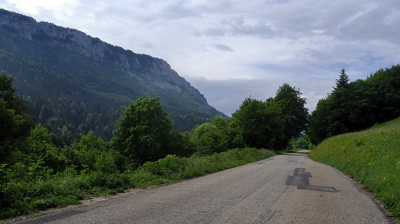 Coulmes-20110603-05-DSCN3165.jpg - juste avant d'arriver sur le Col de Romeyere