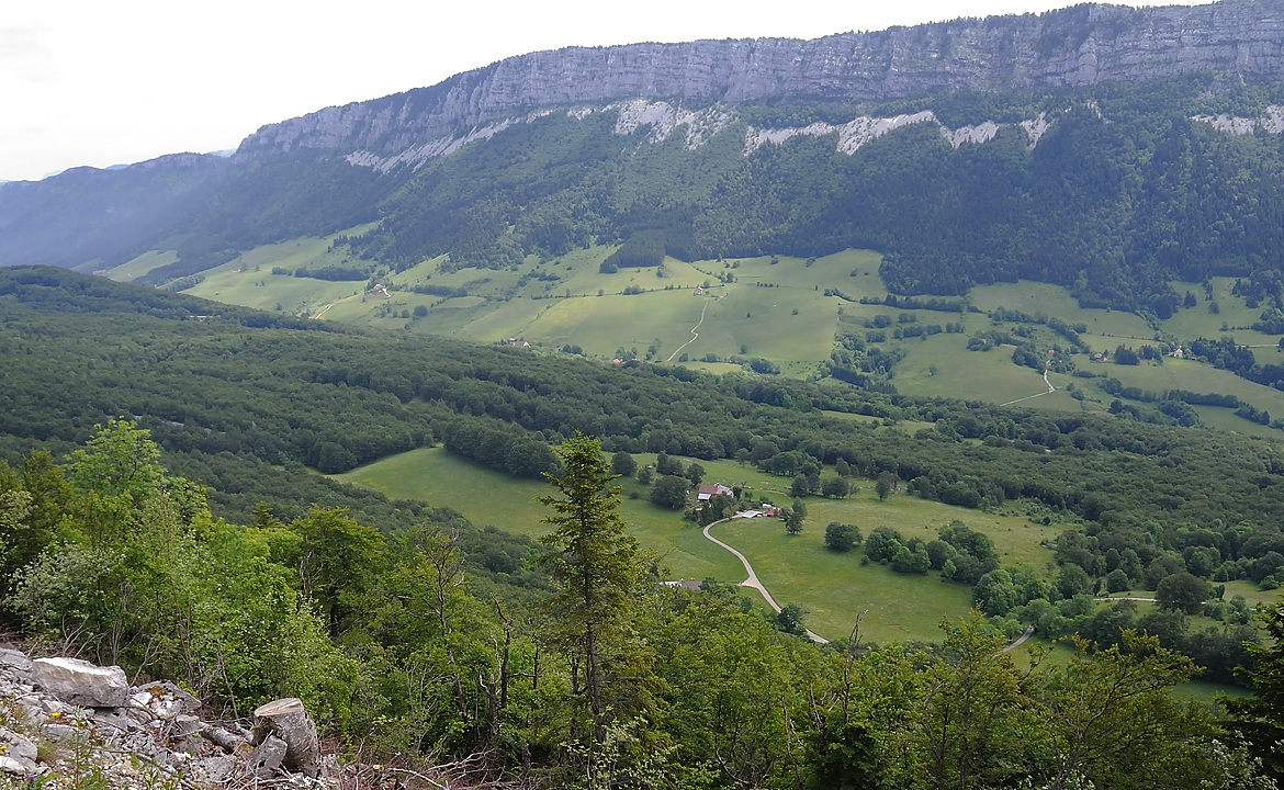 Coulmes-20110603-08-DSCN3169.jpg - Dans la montee vers le Col du Mont Noir :  vue en arriere vers le col de Romeyere