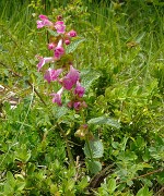 Coulmes-20110603-09-DSCN3171