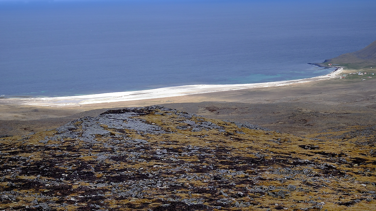 Islande-11-06-08-052-DSCN3332.jpg - jour 2 (Latrabjarg - Isafjordur) : la  plage blanche de Latravik