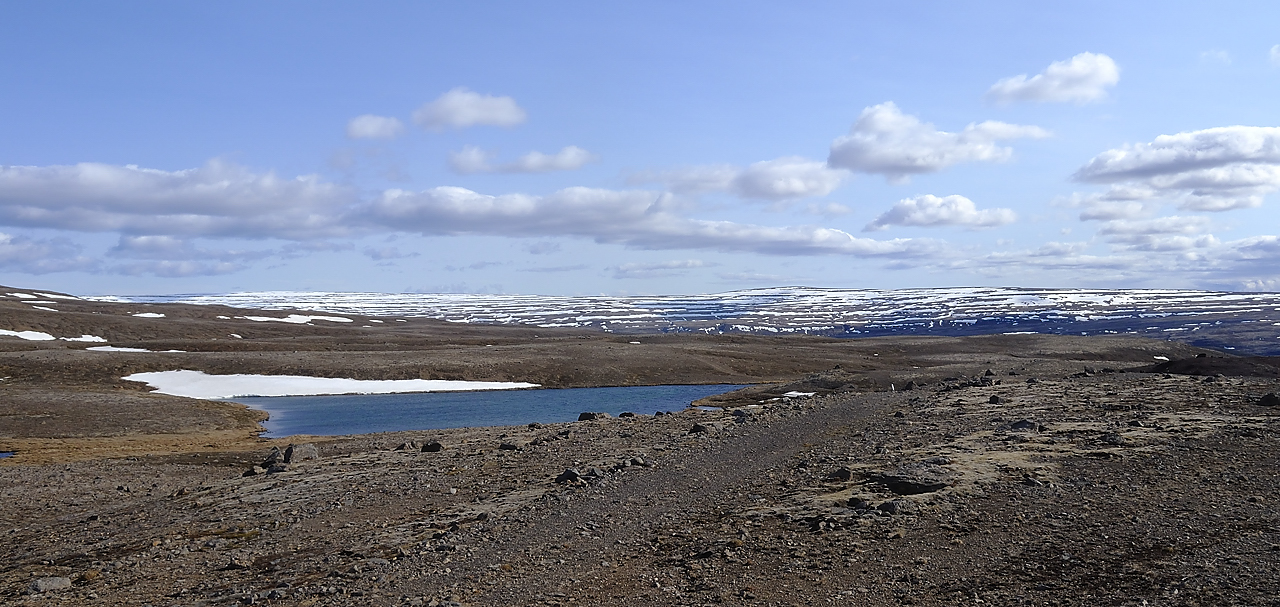 Islande-11-06-08-087-DSCN3369.jpg - jour 2 (Latrabjarg - Isafjordur) : au col apres Patrekdfjordur